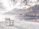 Contemplative Spot