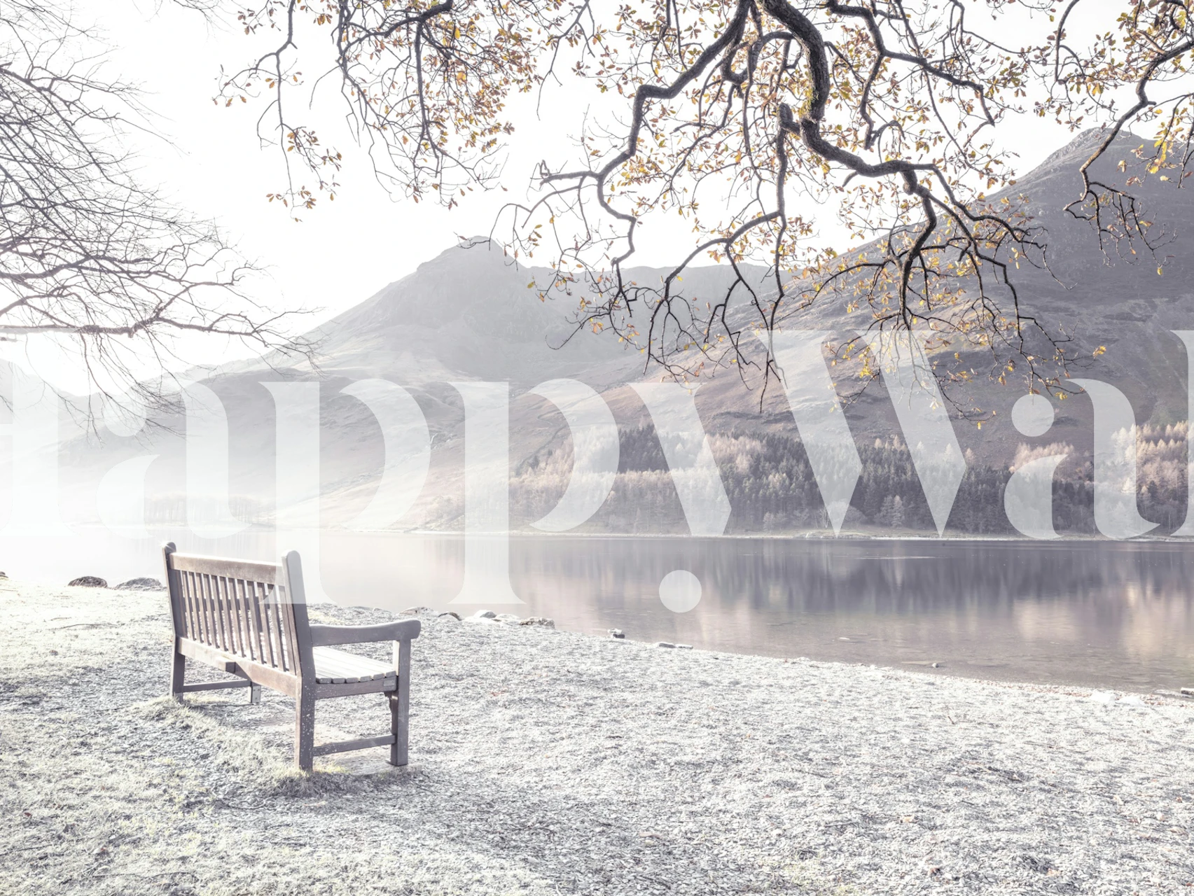 Scenic landscape with a bench by a lake, soft tones, serene atmosphere wallpaper