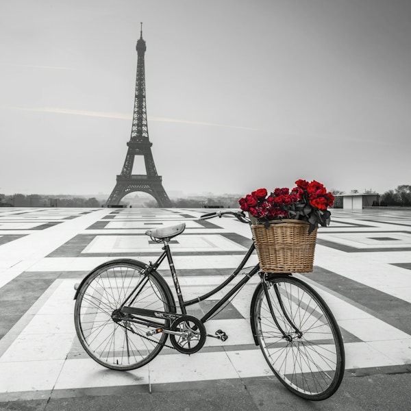 Parisian Love Story