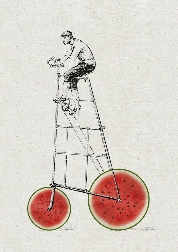 Melon bike