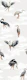 Crane Bird-boys