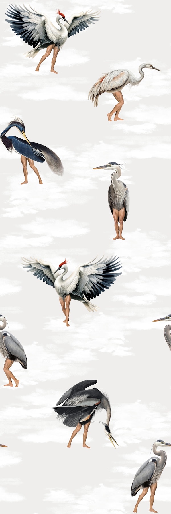 Crane Bird-boys