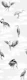 Crane Bird-boys grey