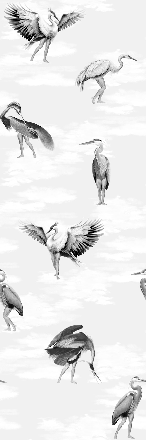 Crane Bird-boys grey