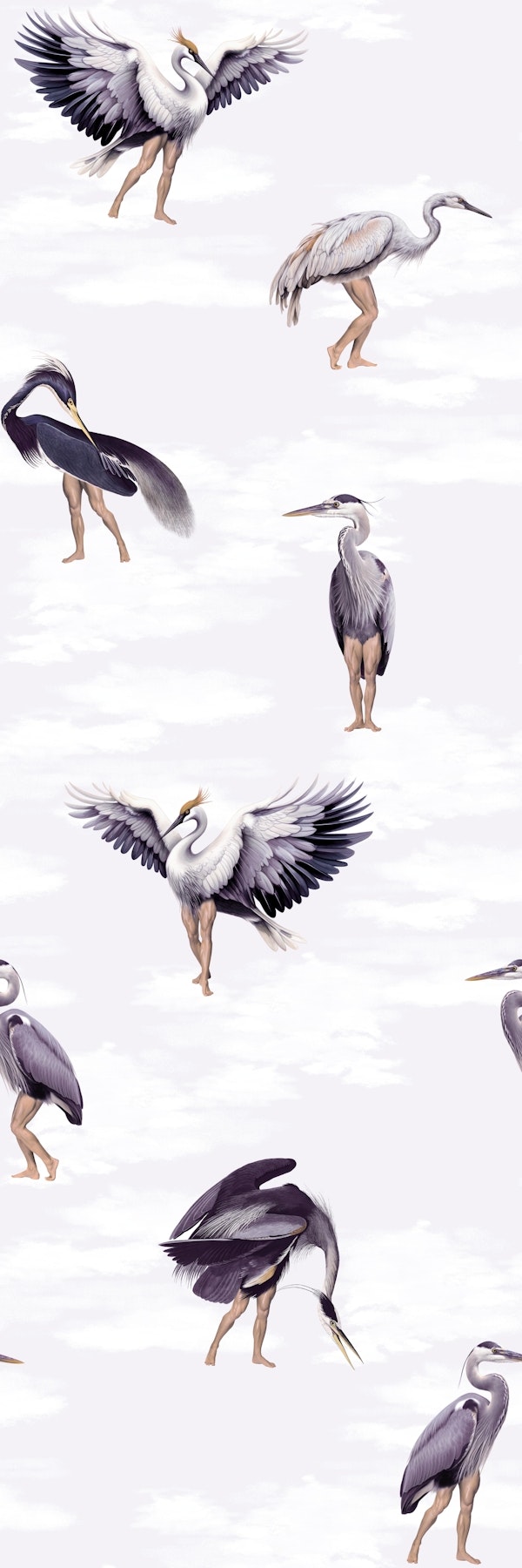 Crane Bird-boys in purple lavender