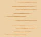 Warm Minimalism Stripe Tan Mustard