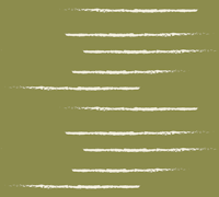 Warm Minimalism Stripe Artichoke Beige tapet