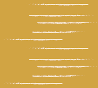 Warm Minimalism Stripe Mustard Beige tapet