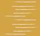 Warm Minimalism Stripe Mustard Beige