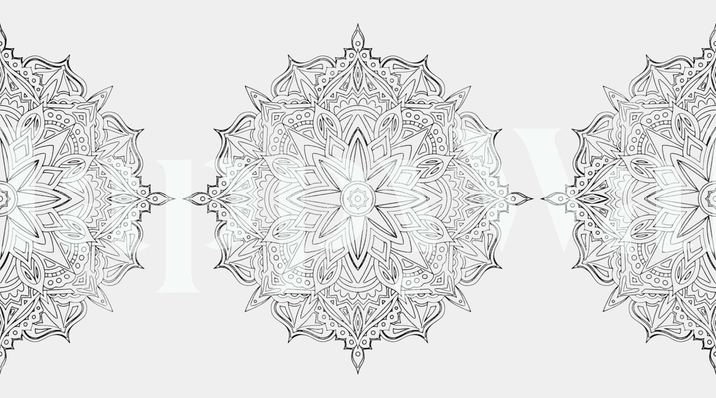 Black and white mandala patterns on wallpaper