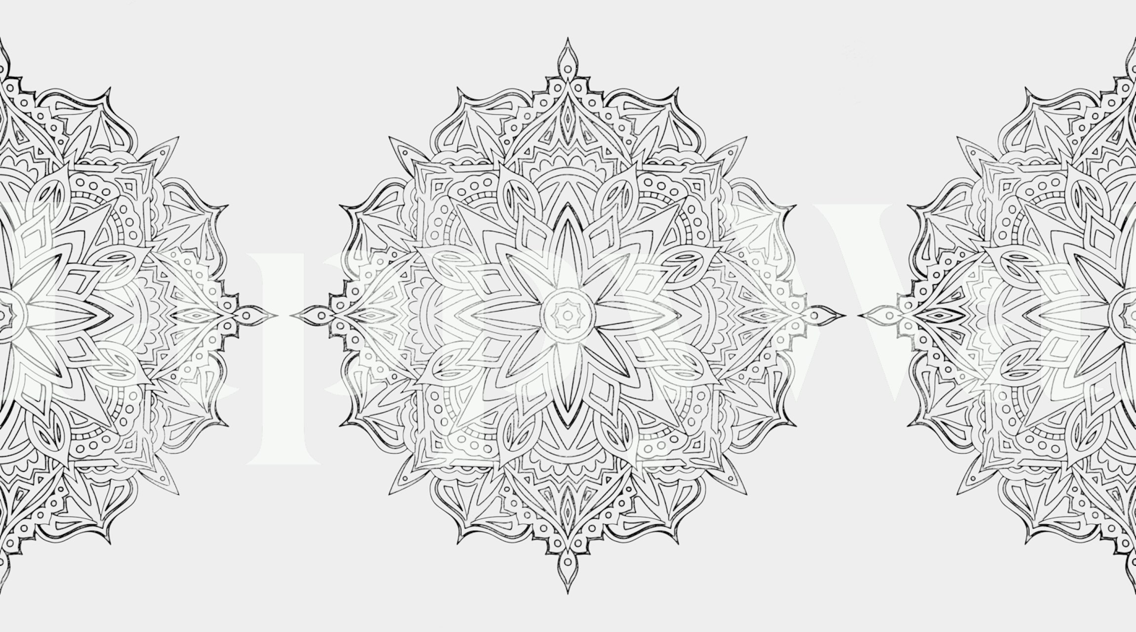 Black and white mandala patterns on wallpaper