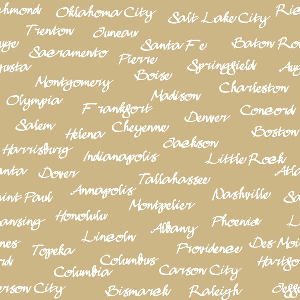 State Capitals in the United States 4