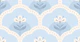 Scallops, Light Blue