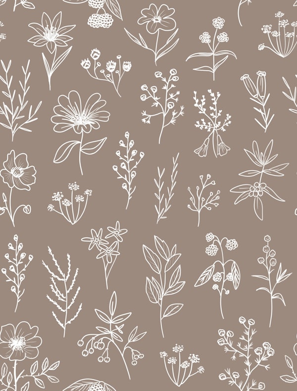 Patagonian Wildflowers Brown