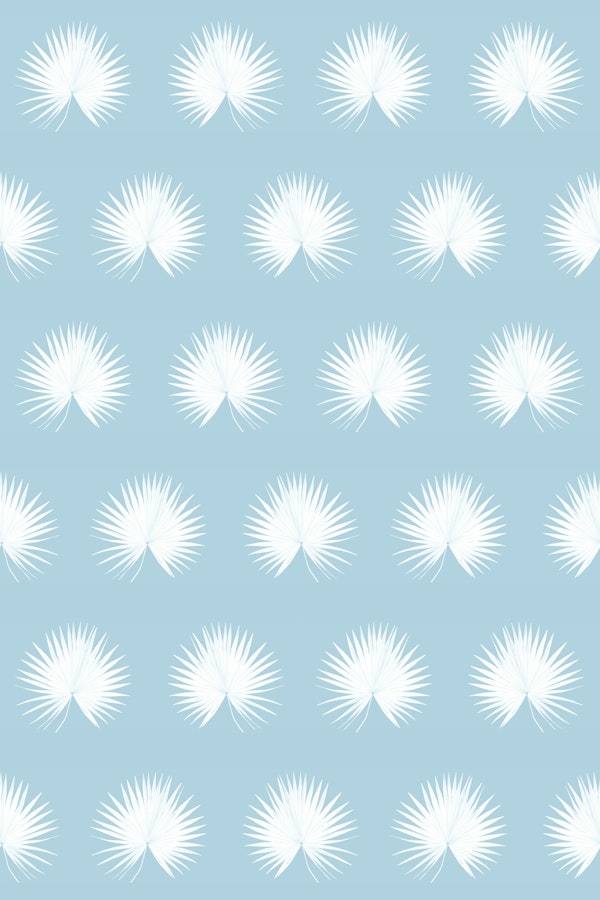 Fan Palm Leaf Sky Blue