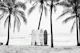 Surfboards