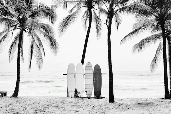 Surfboards