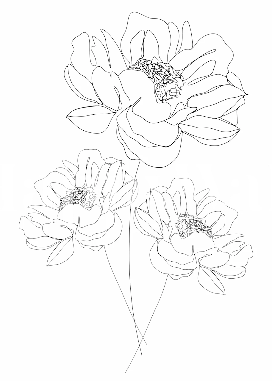 Minimal Line Art Flowers tapet i et rom
