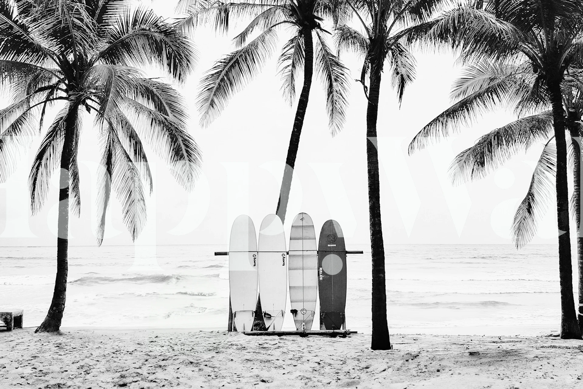Surfer wallpaper with surfboards and palm trees