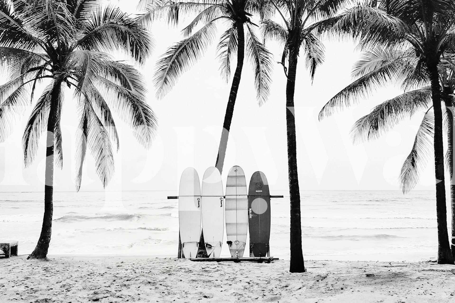 Surfer wallpaper with surfboards and palm trees