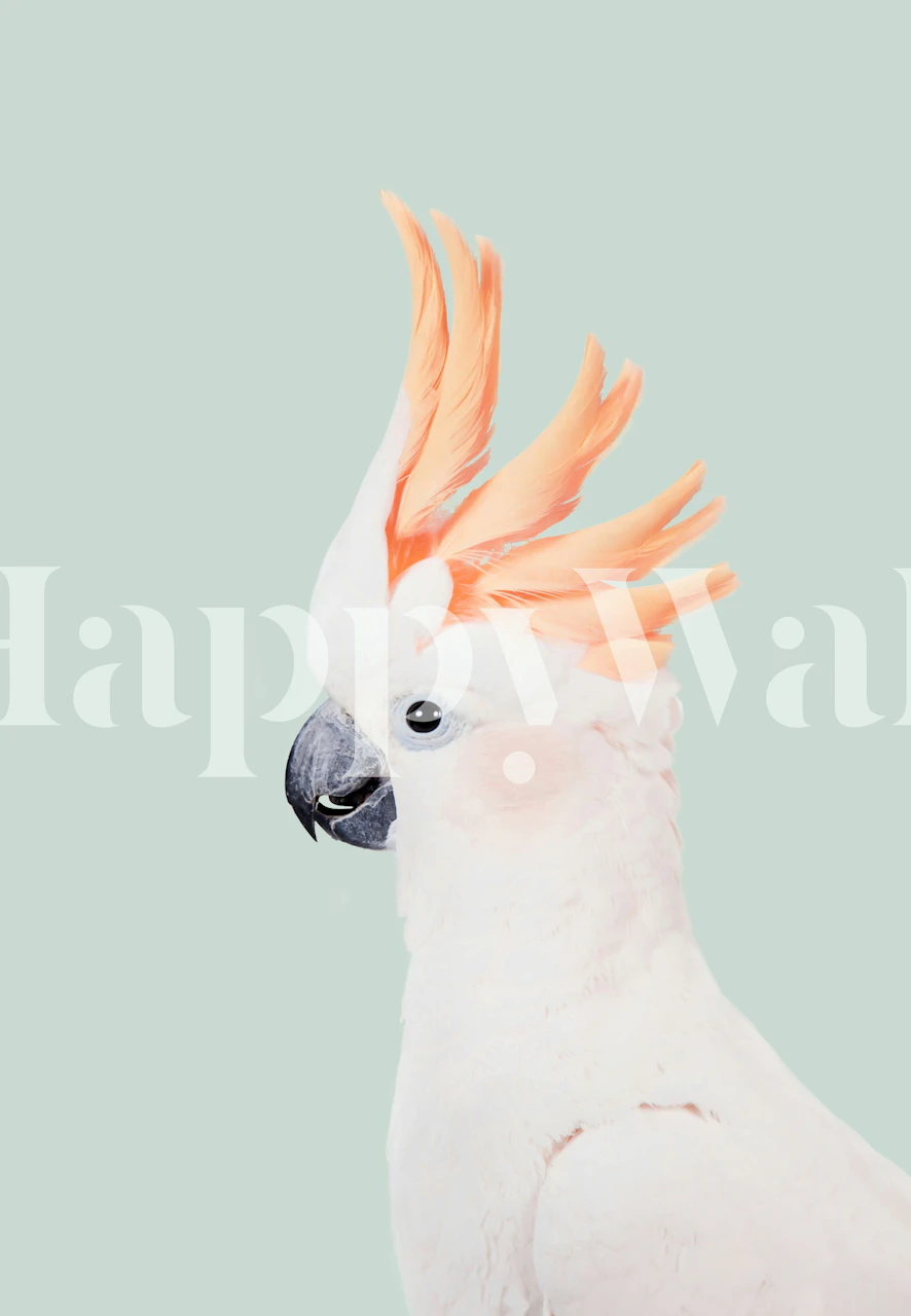 Cockatoo bird in profile on mint green background wallpaper