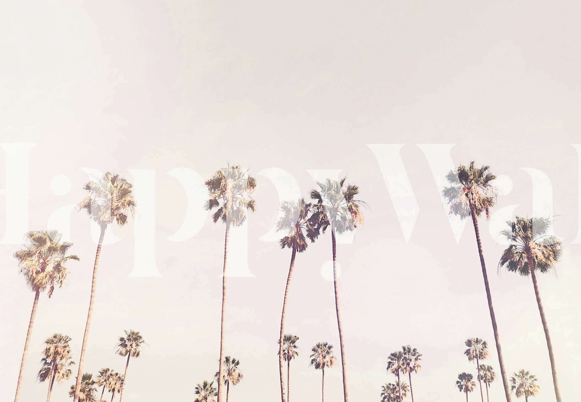 Tapeta Sunny Cali Palm Trees v pokoji