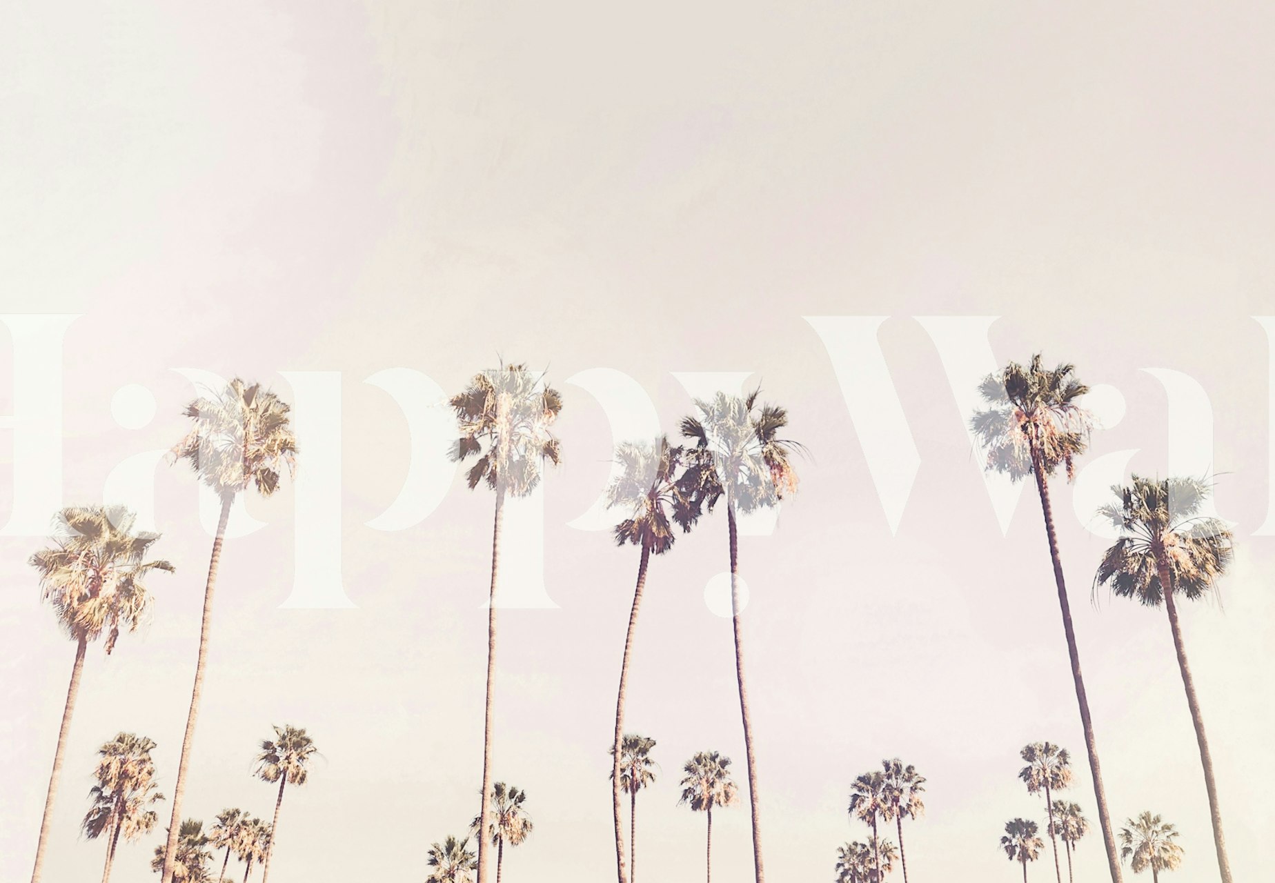 Tapeta Sunny Cali Palm Trees v pokoji