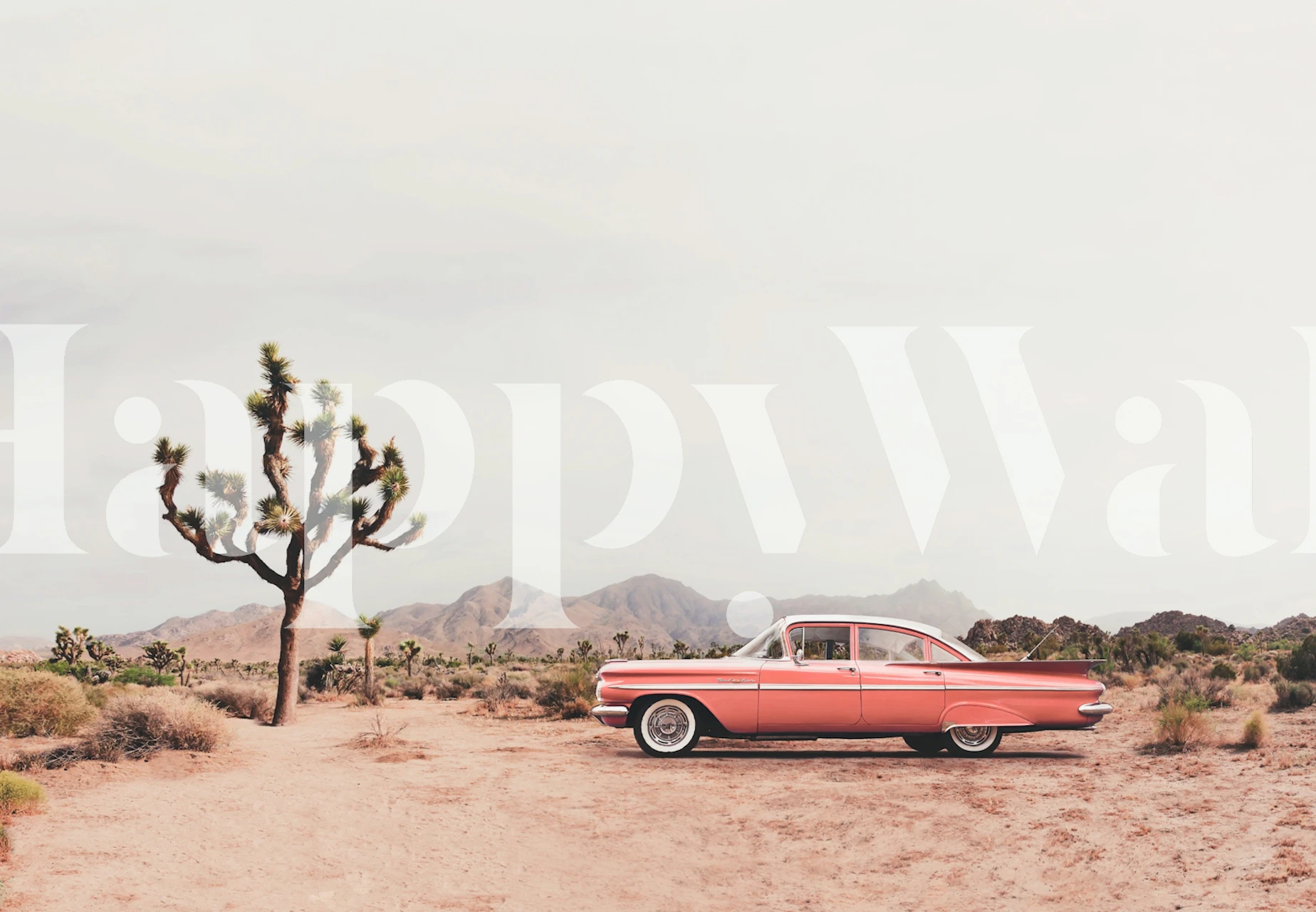 A vintage car in a desert landscape with a Joshua tree, pink tones wallpaper