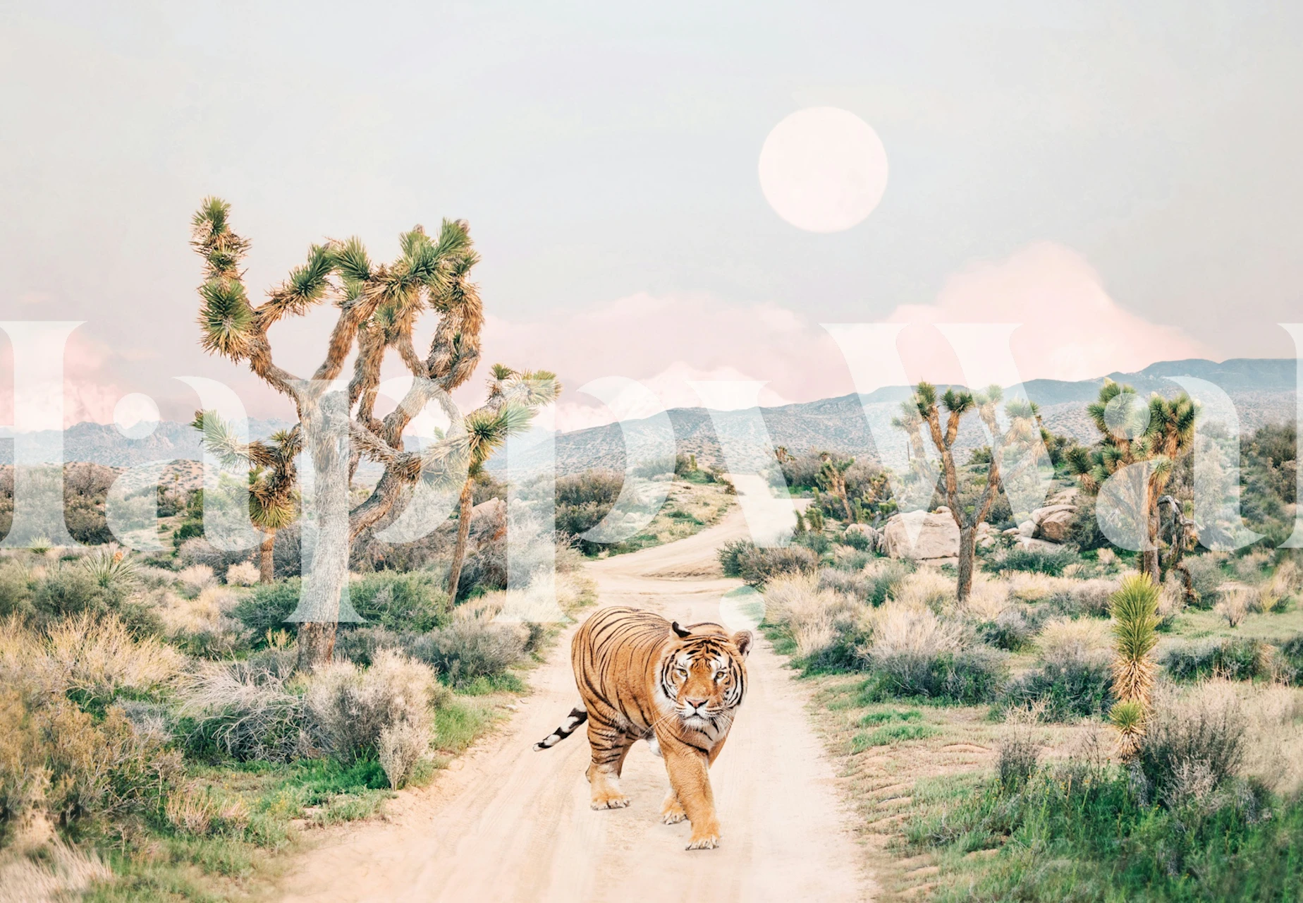 A wandering tiger papel pintado en una habitación