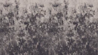 Mystic Japandi Meadow tapeta