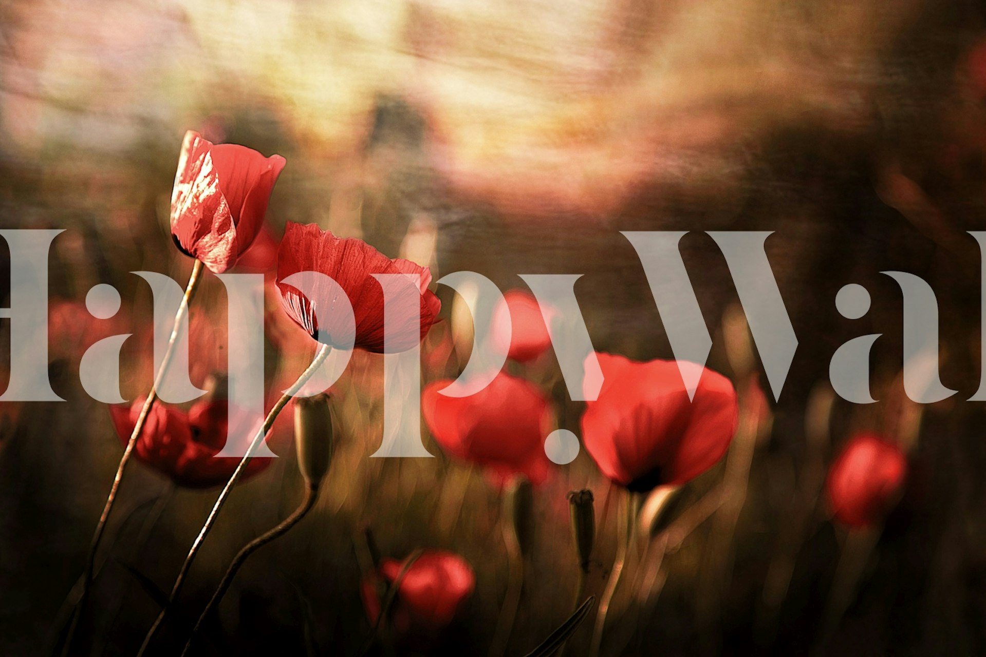 Red flowers in a garden with soft background wallpaper