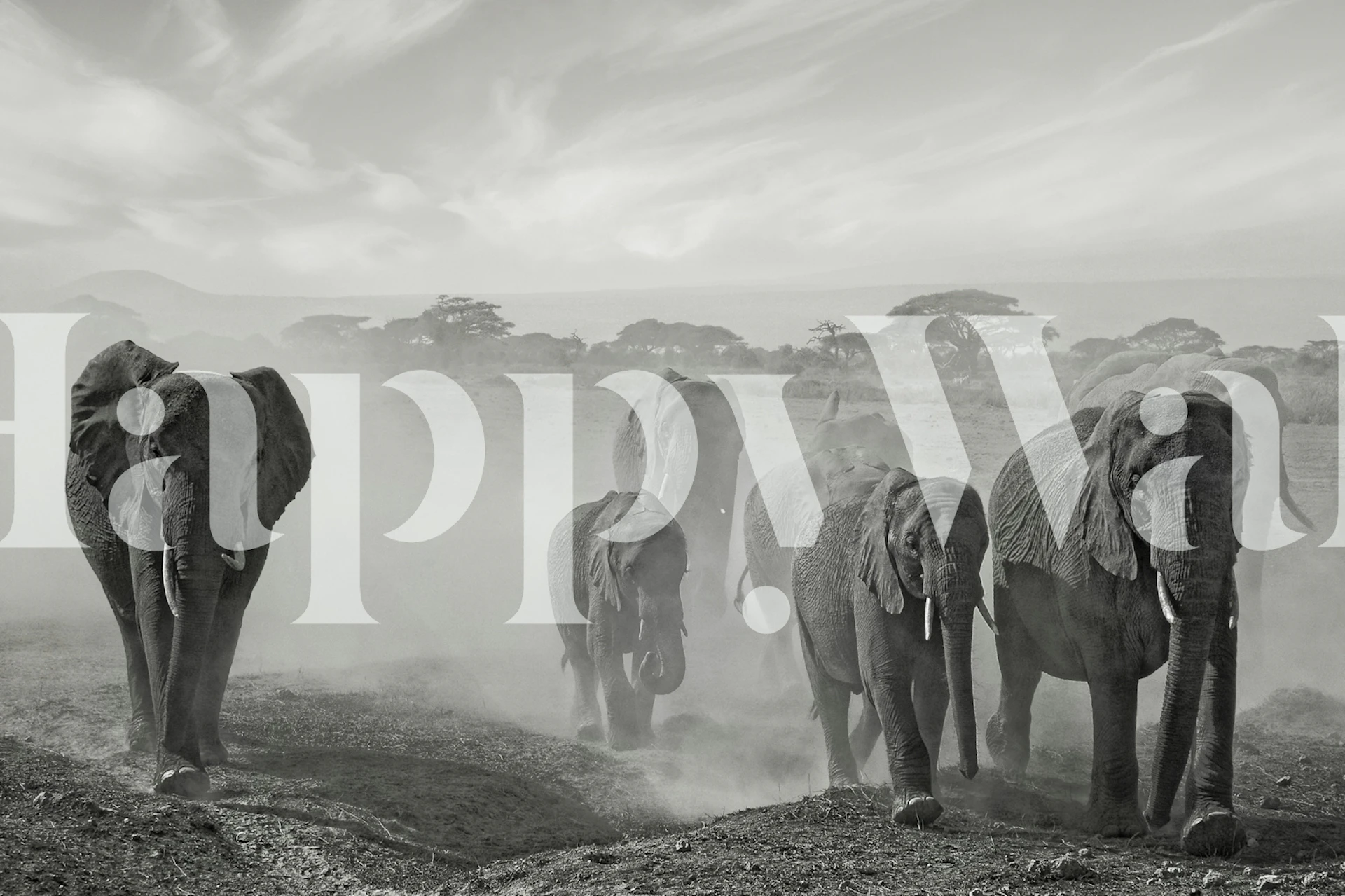 Sequence of emotion pozadina u sobi