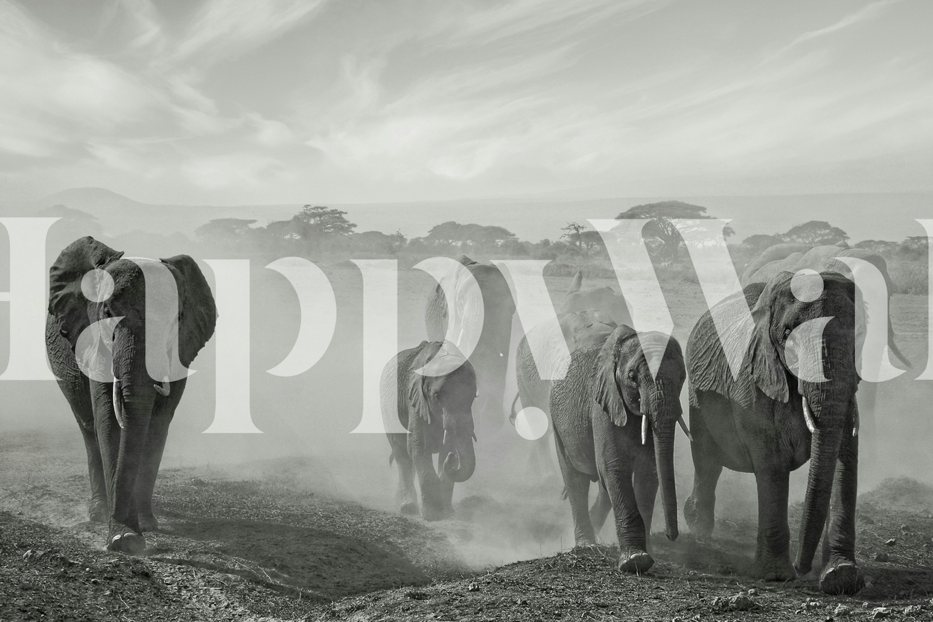 Sequence of emotion tapeta v místnosti