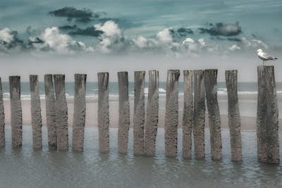 Τοιχογραφία