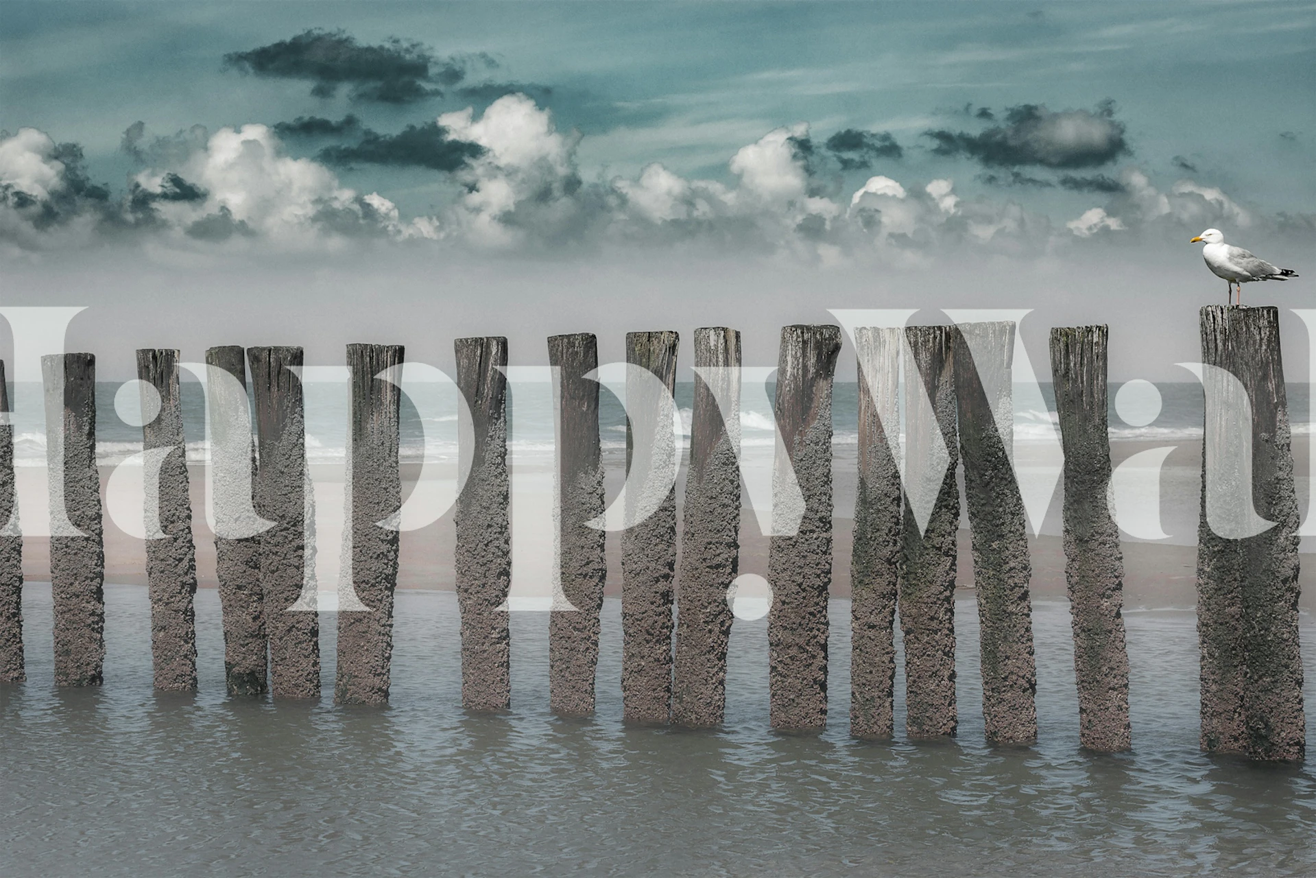 Wooden posts against serene beach and blue sky wallpaper
