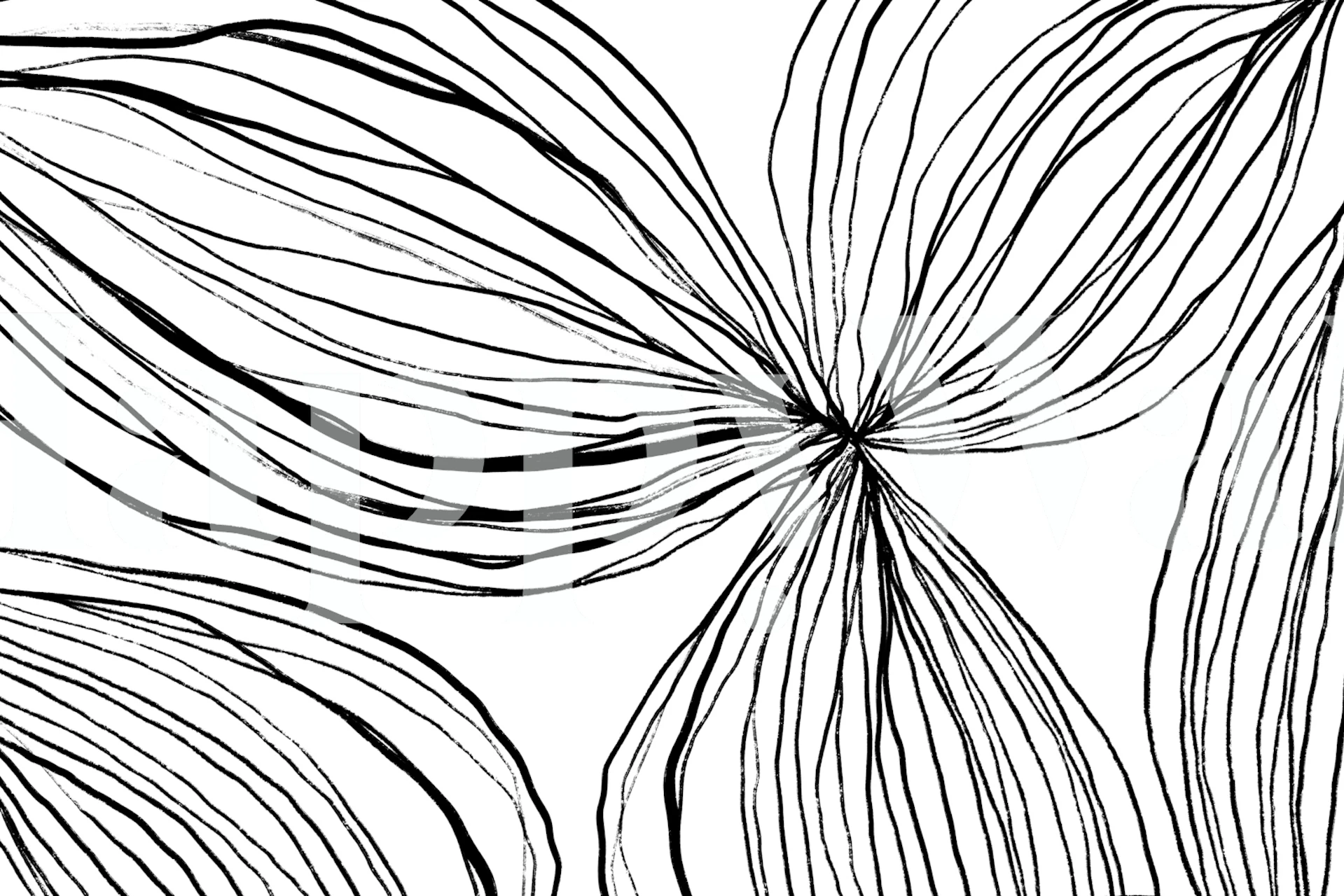 Stylized black and white line-art floral wall mural Flowerina 1.