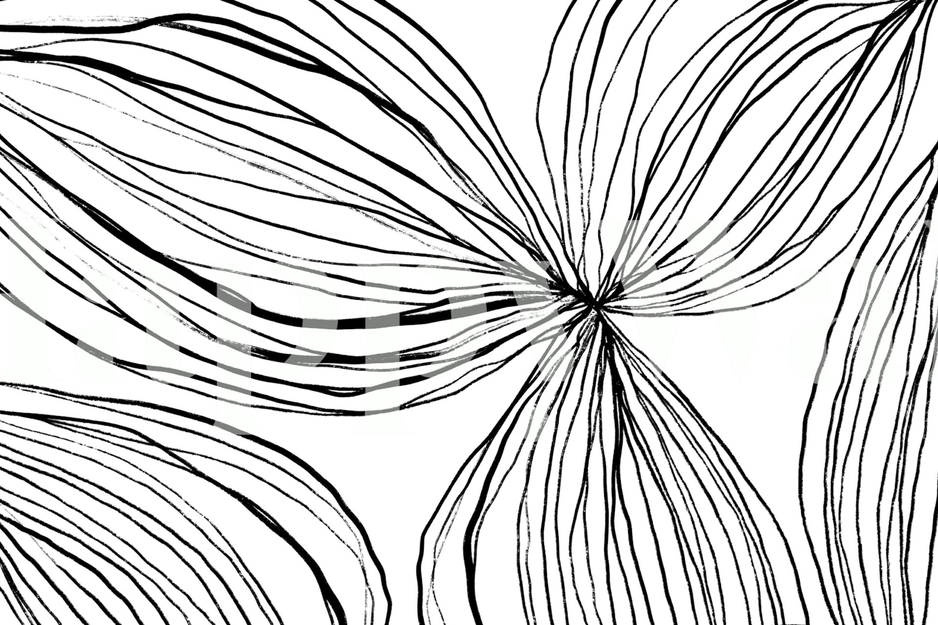 Stylizovaná černobílá kresba na stěnu s květinovým motivem Flowerina 1.