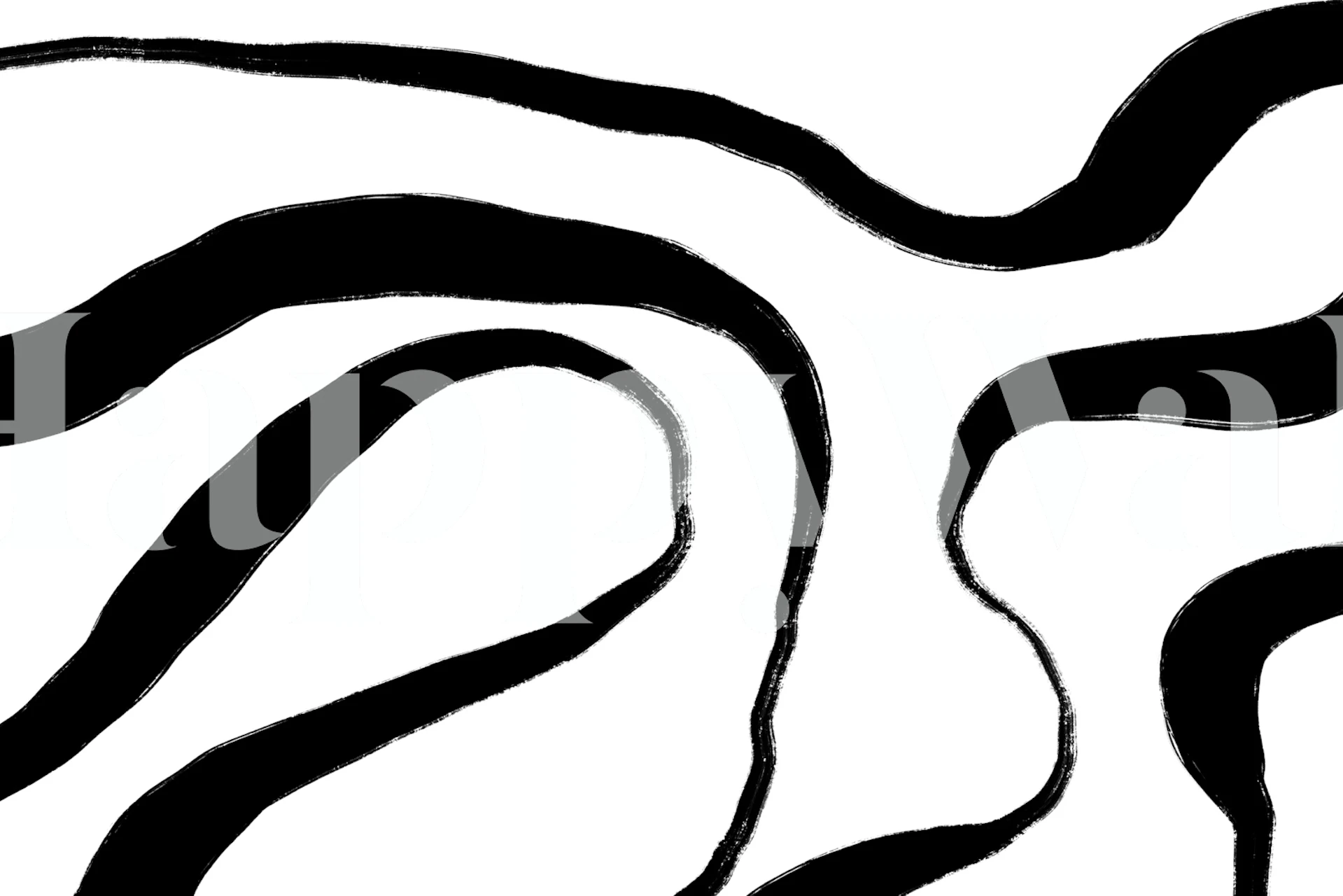 Abstract black and white fluid lines wall mural