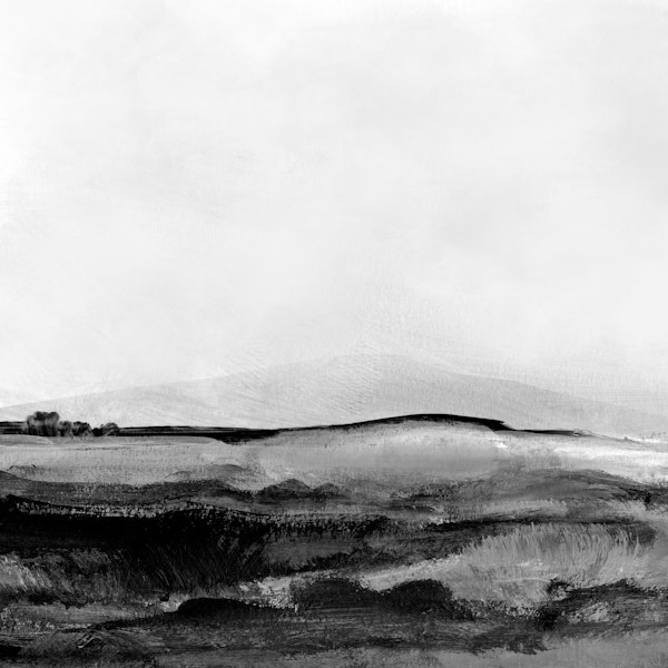 Mono Landscape No1