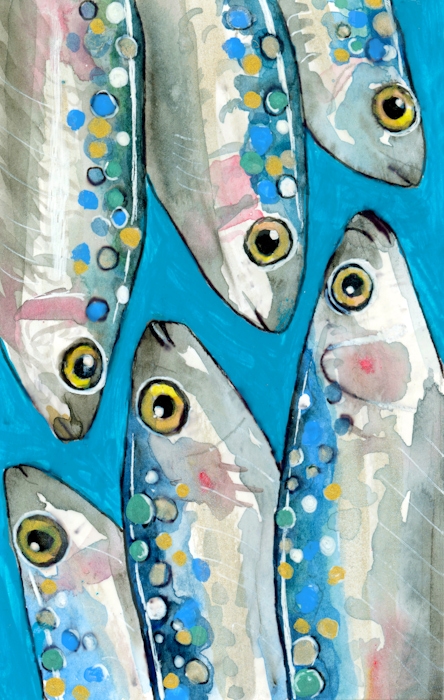 Fishes Wallpaper - happywall.com