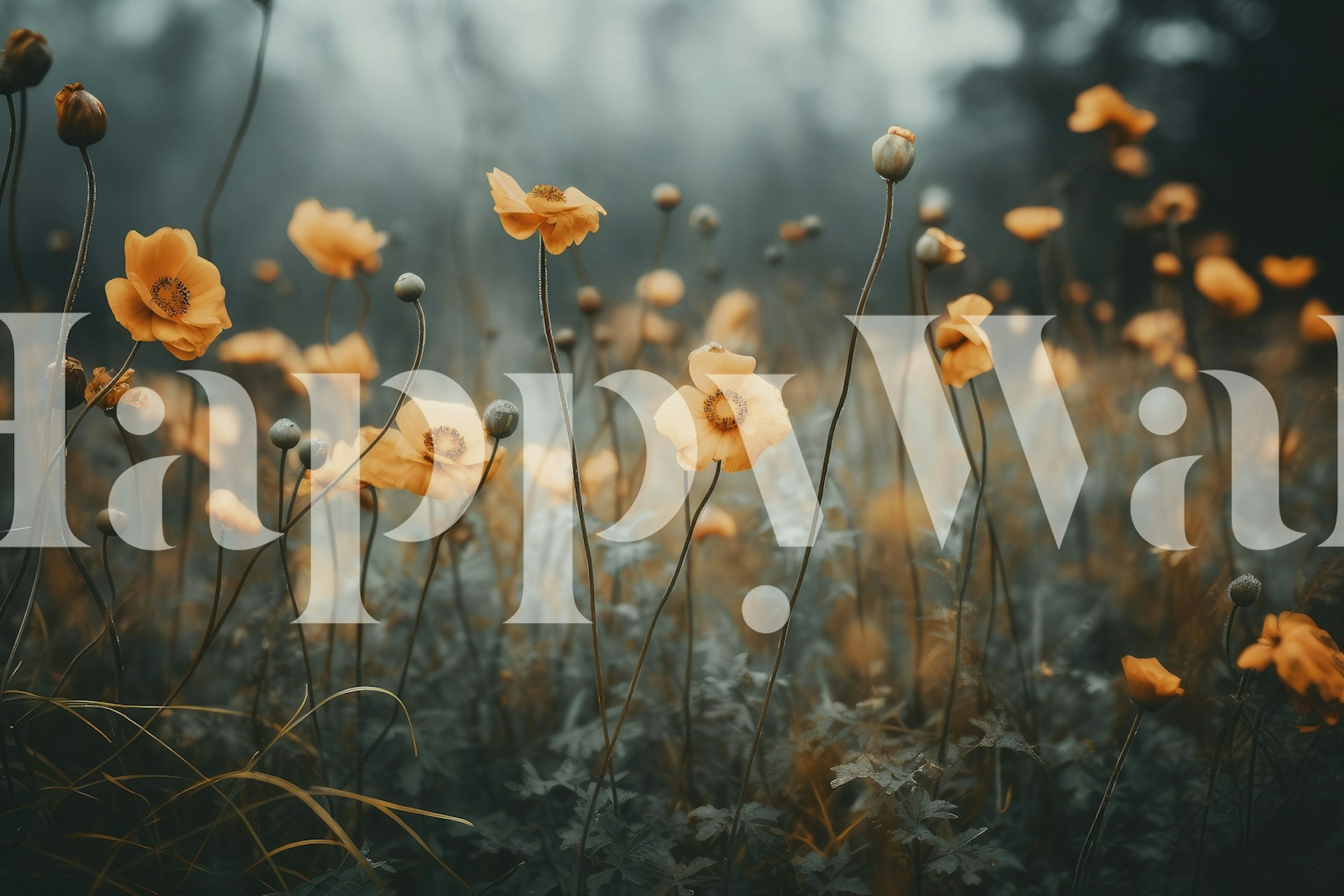 Orange Poppy wall mural with twilight meadow theme