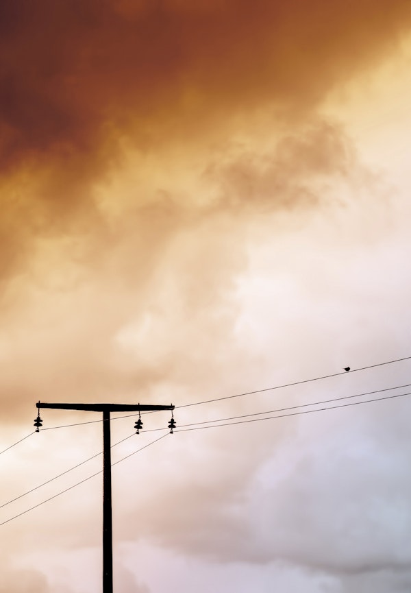 Birdy with dramatic sky and clouds