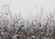 Hl006  Flowers 4   4206mm X 3000h