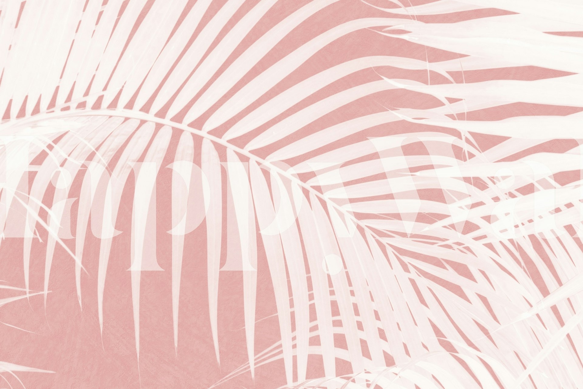Palm Leaves On Pink Silhouette wall mural with white palm leaf designs on a soft pink background