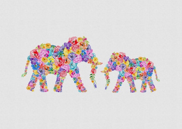 Floral Elephants