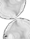White Agate Neutral Glam 1