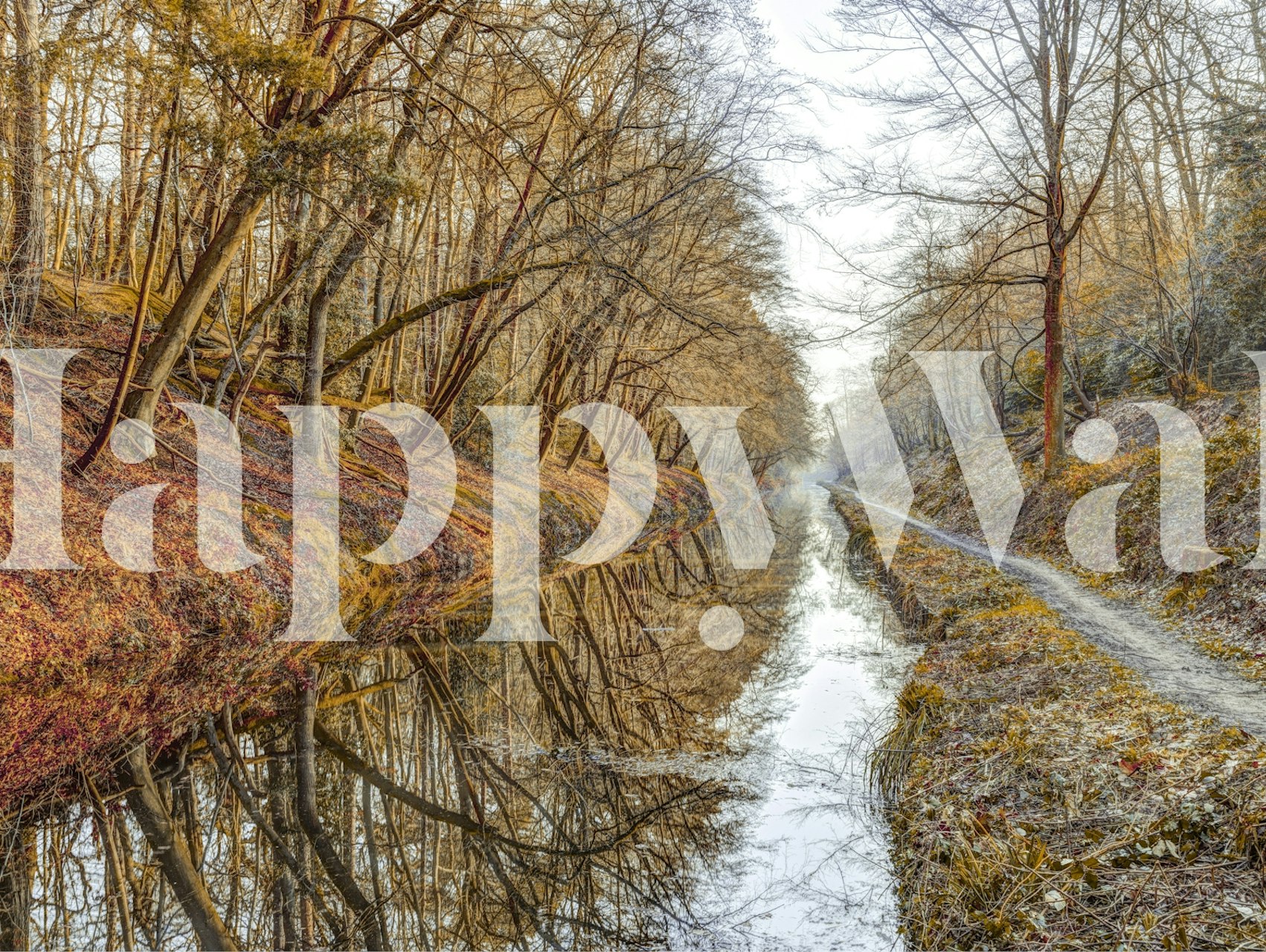 Autumn trees reflecting in a calm canal, nature scene wallpaper
