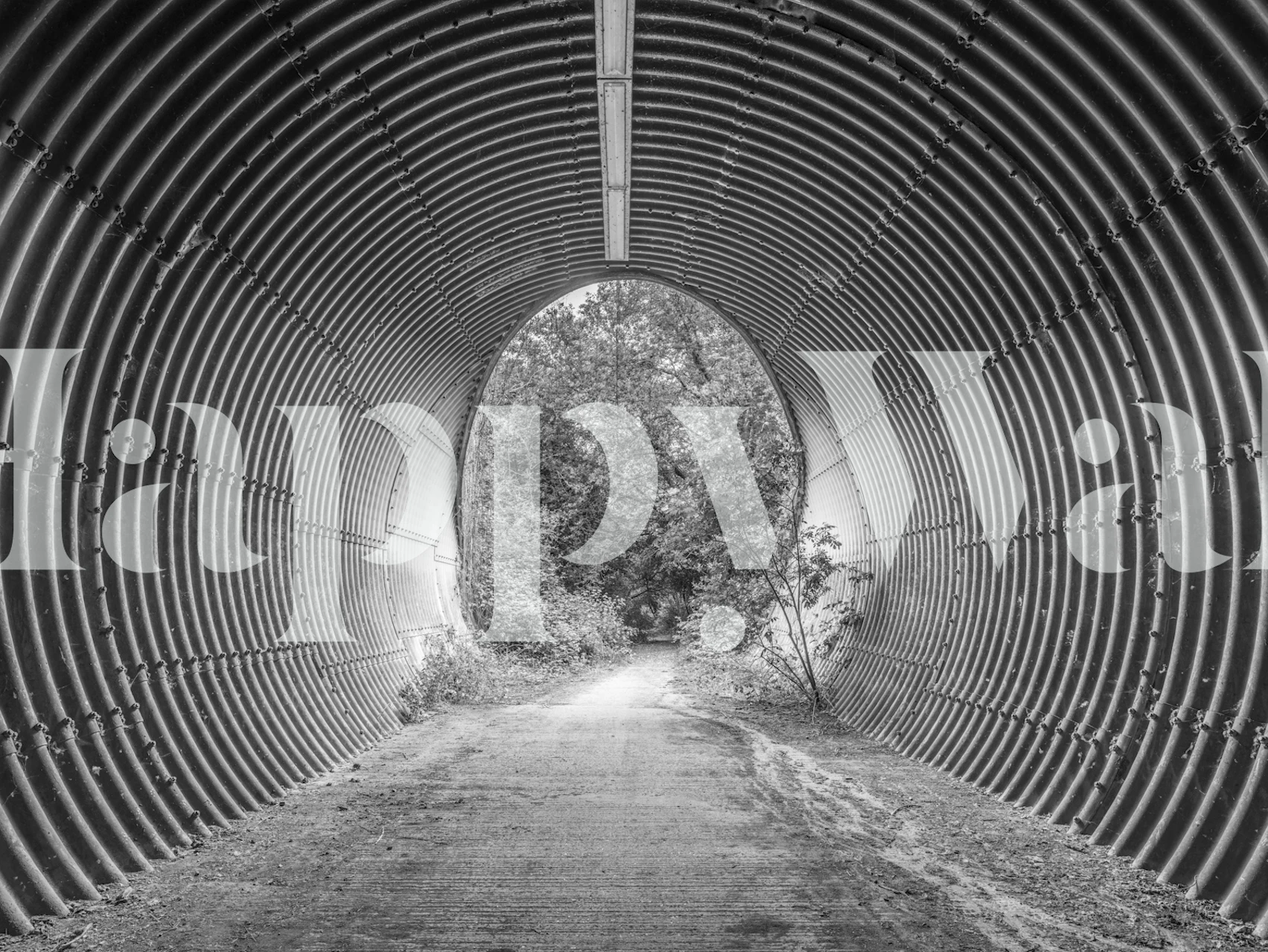 Black and white tunnel wallpaper with metallic lines