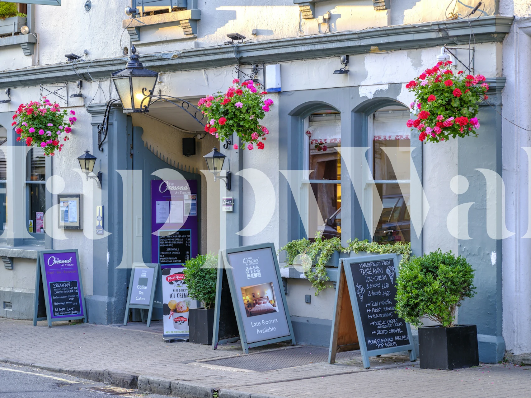 Cotswold Nostalgia floral wallpaper featuring vibrant flowers and greens