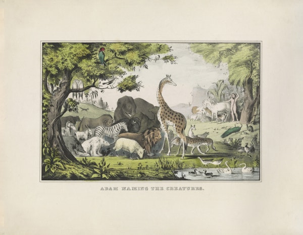 Adam naming the creatures